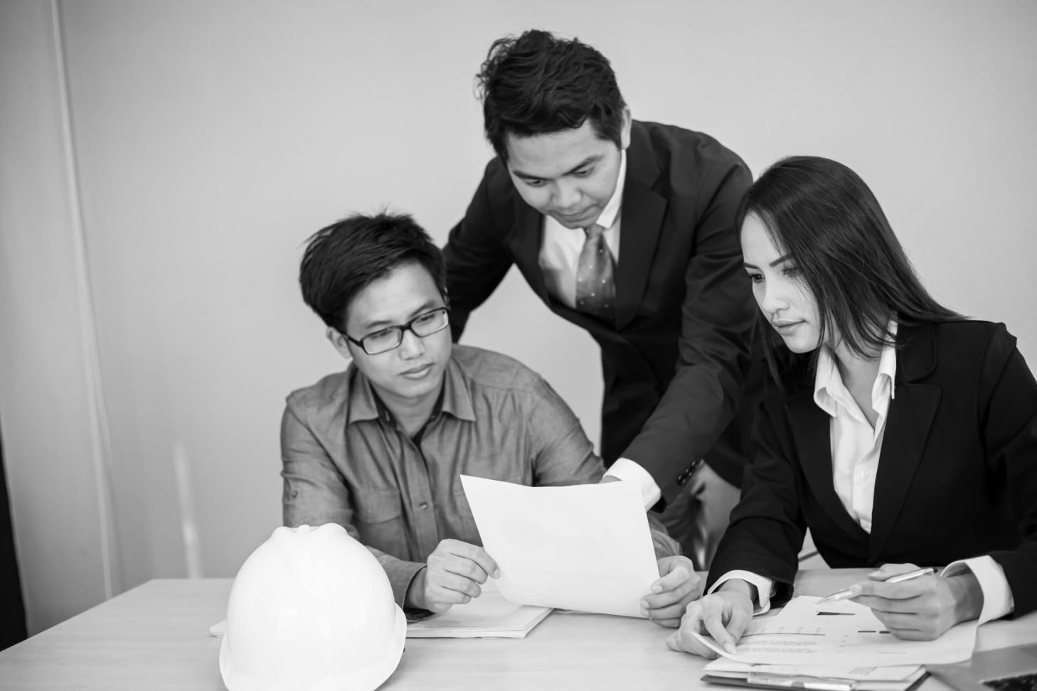 Целевая аудитория программы развития